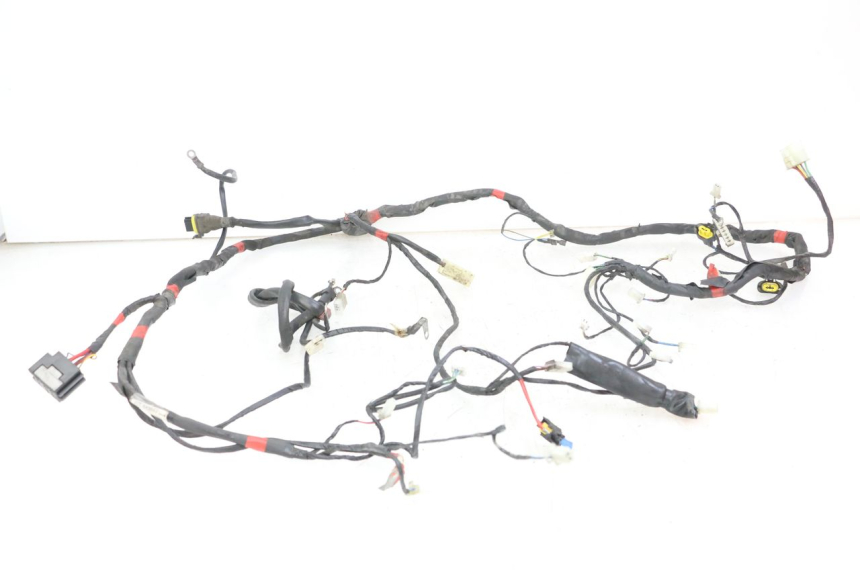 photo de CABLEADO PIAGGIO NEW TYPHOON 50 (2010 - 2017) - Vista principal