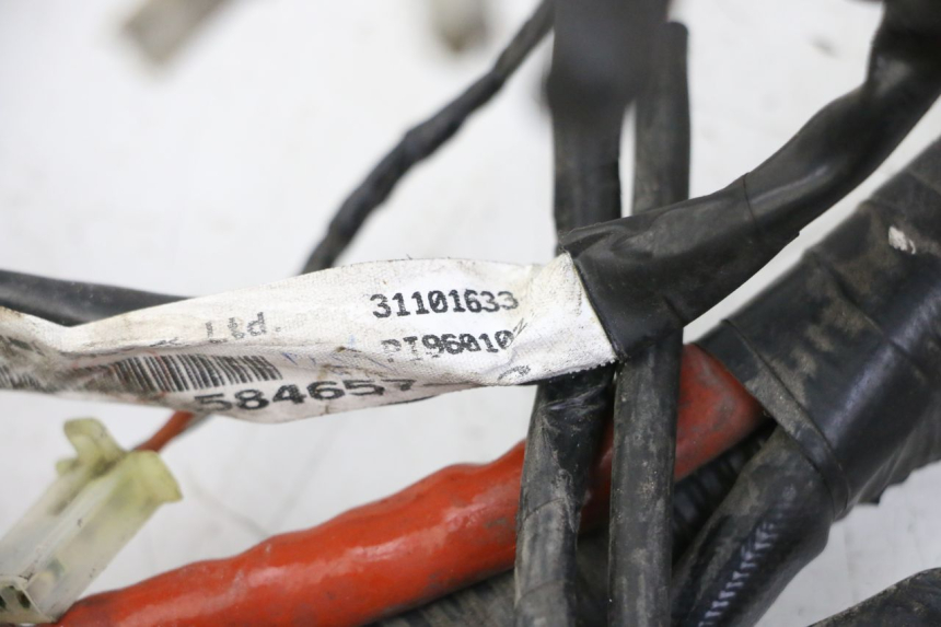 photo de CABLEADO PIAGGIO VESPA GRANTURISMO 200 (2004 - 2005) - Detalle de la pieza