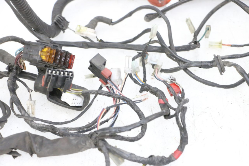 photo de CABLEADO PIAGGIO VESPA GRANTURISMO 200 (2004 - 2005) - Características distintivas