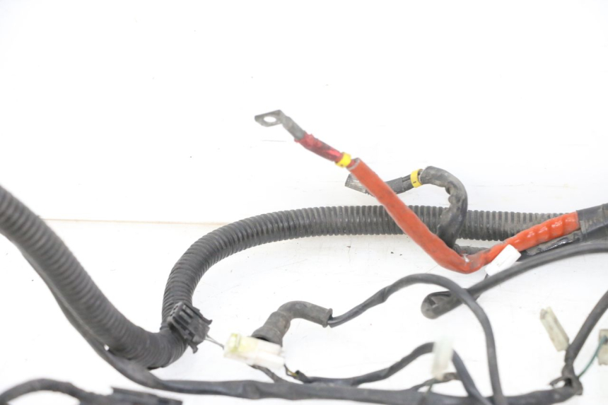 photo de CABLEADO PIAGGIO VESPA GRANTURISMO 200 (2004 - 2005) - Zoom sobre los componentes