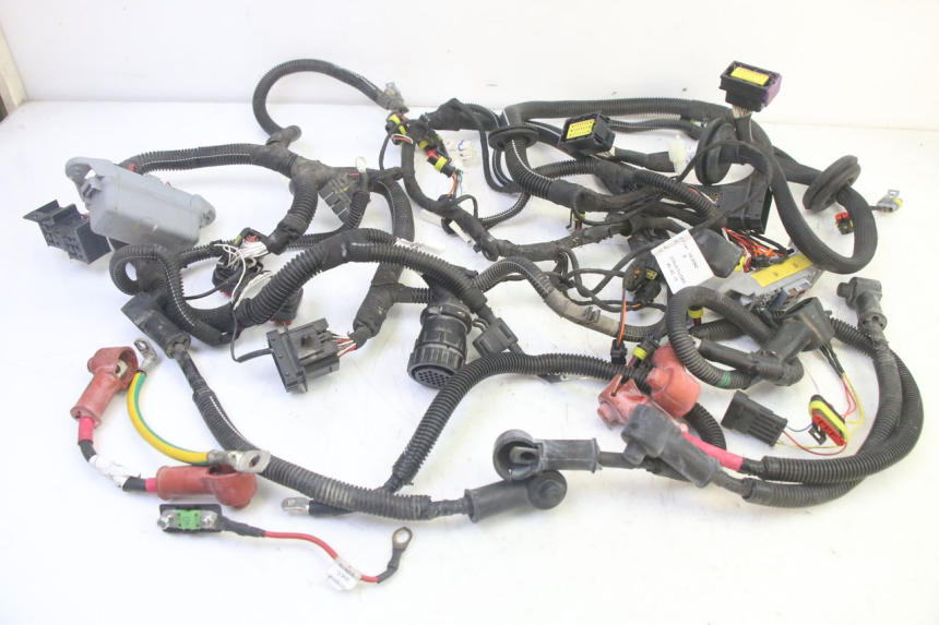 photo de CABLEADO LIGIER PULSE 3 1 (2014 - 2020) - Vista principal