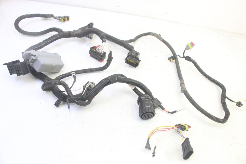 photo de CABLEADO LIGIER PULSE 3 1 (2014 - 2020) - Características distintivas