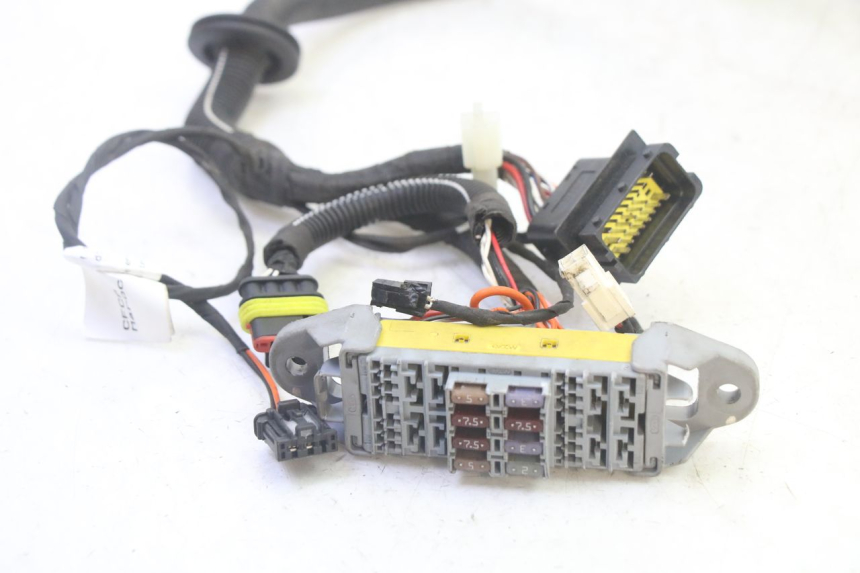 photo de CABLEADO LIGIER PULSE 3 1 (2014 - 2020) - Estado de la superficie y material