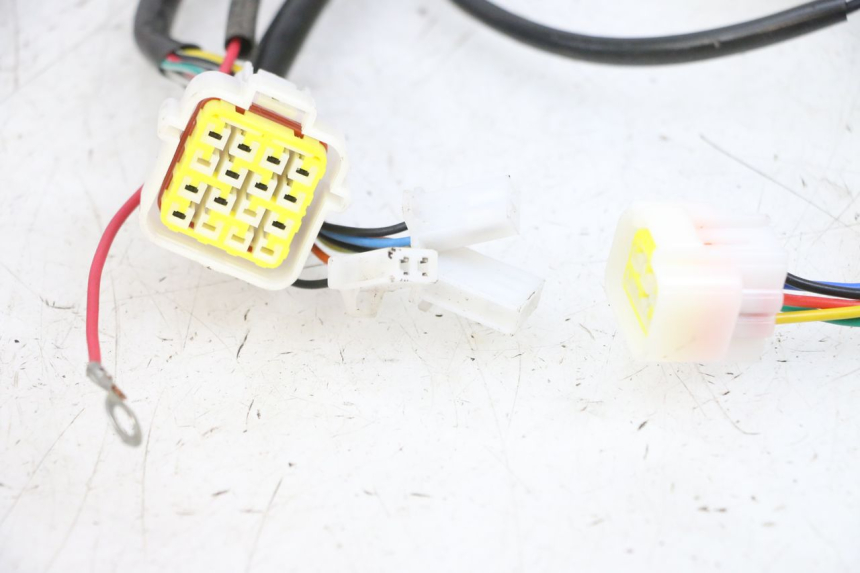 photo de CABLEADO EFUN PUSA 1 - Características distintivas