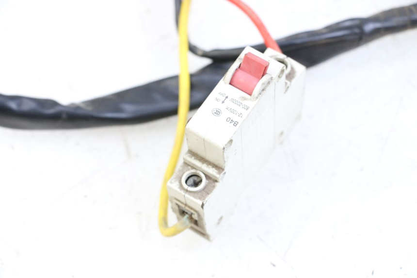 photo de CABLEADO DOLPHIN PYGMY 1 (2020 - 2024) - Detalle de la pieza