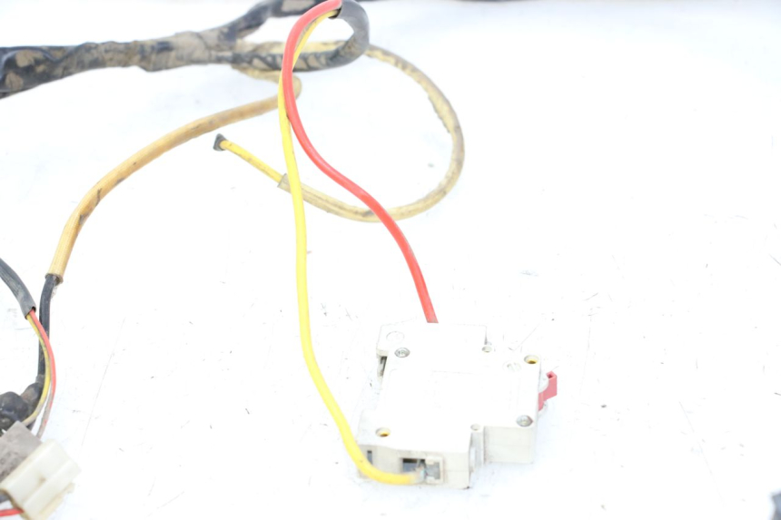 photo de CABLEADO DOLPHIN PYGMY 1 (2020 - 2024) - Vista general del producto