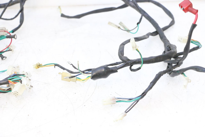 photo de CABLEADO RAZZO QTR 50 (2011 - 2018) - Inspección visual detallada