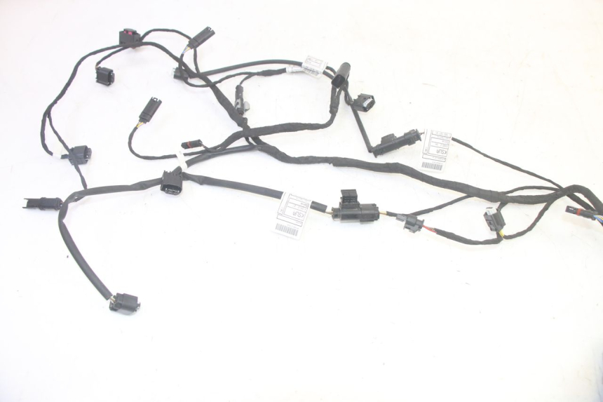 photo de CABLEADO BMW R GS 1250 (2021 - 2024) - Detalle de la pieza