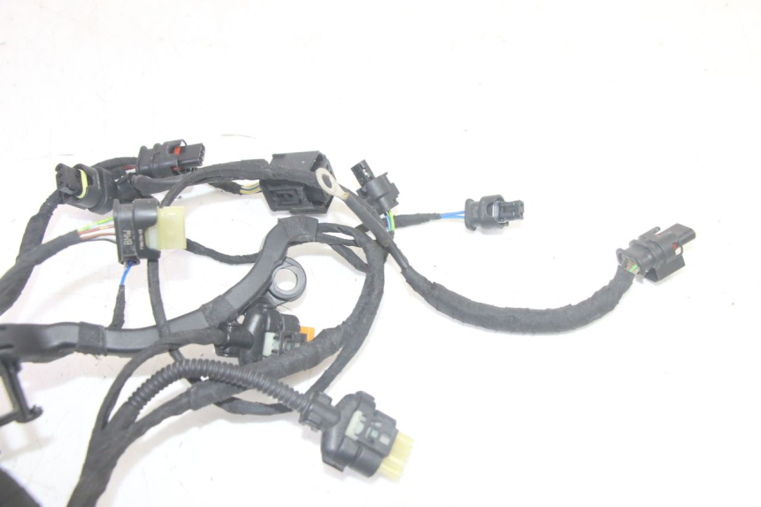 photo de CABLEADO BMW R GS 1250 (2021 - 2024) - Características distintivas