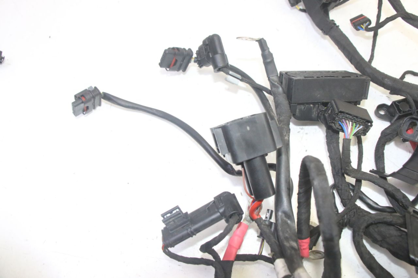 photo de CABLEADO BMW R GS 1250 (2021 - 2024) - Otra perspectiva