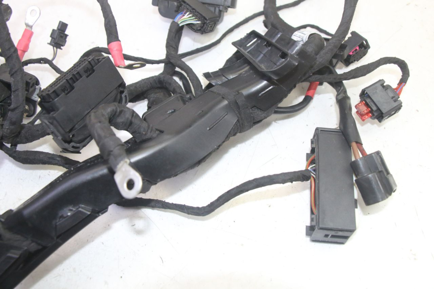 photo de CABLEADO BMW R GS 1250 (2021 - 2024) - Primer plano técnico