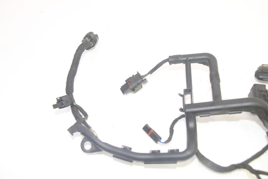 photo de CABLEADO BMW R GS 1250 (2021 - 2024) - Marcados y referencias originales