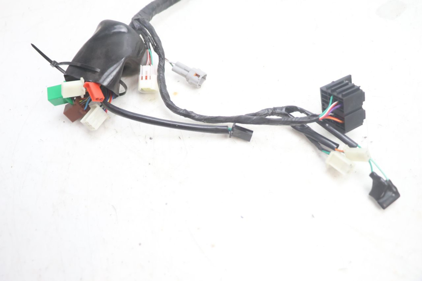 photo de CABLEADO JM MOTORS R-MAX TECH 50 (2024 - 2026) - Detalle de la pieza
