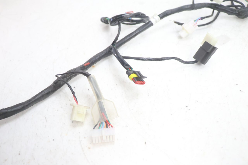 photo de CABLEADO JM MOTORS R-MAX TECH 50 (2024 - 2026) - Zoom estado de uso
