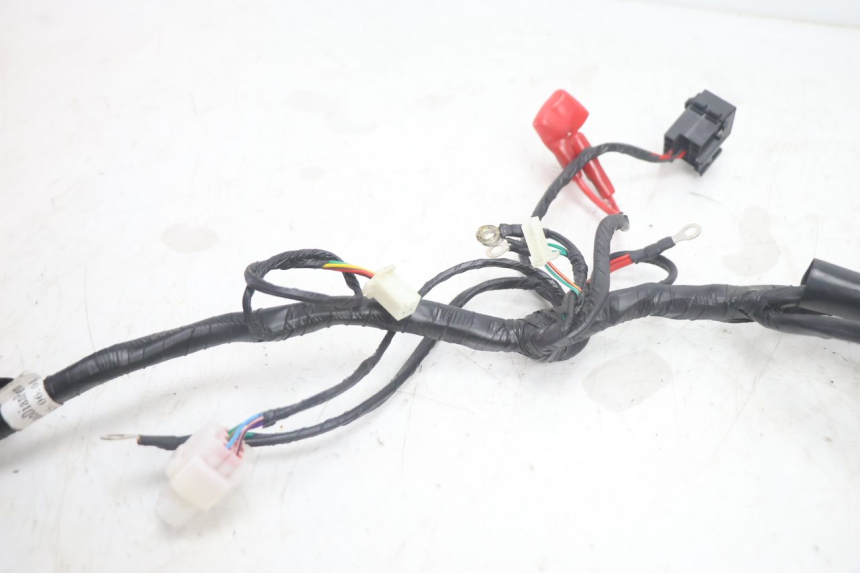 photo de CABLEADO JM MOTORS R-MAX TECH 50 (2024 - 2026) - Otra perspectiva