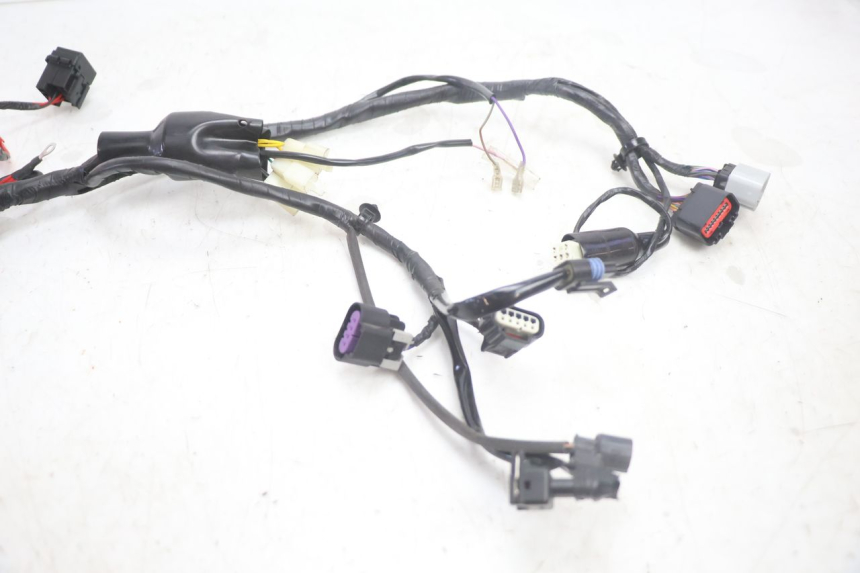 photo de CABLEADO JM MOTORS R-MAX TECH 50 (2024 - 2026) - Primer plano técnico