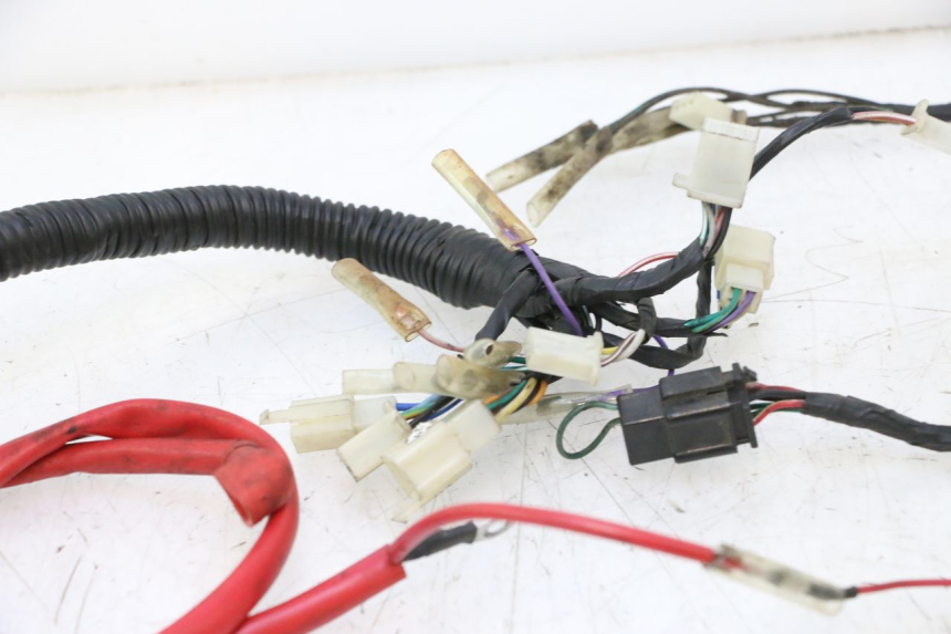 photo de CABLEADO RIDE RACE GT 2T 50 (2012 - 2017) - Primer plano técnico