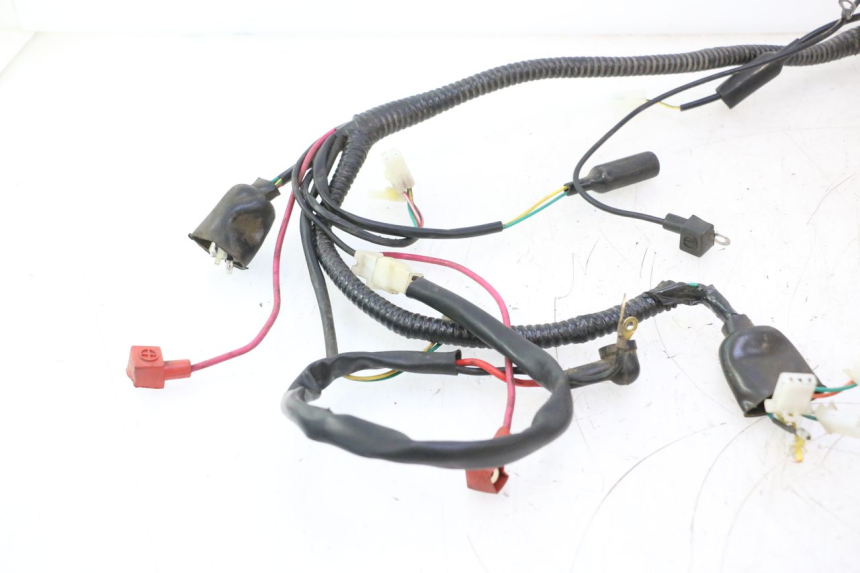 photo de CABLEADO ORCAL RAPTOR 50 (2015 - 2021) - Zoom sobre los componentes