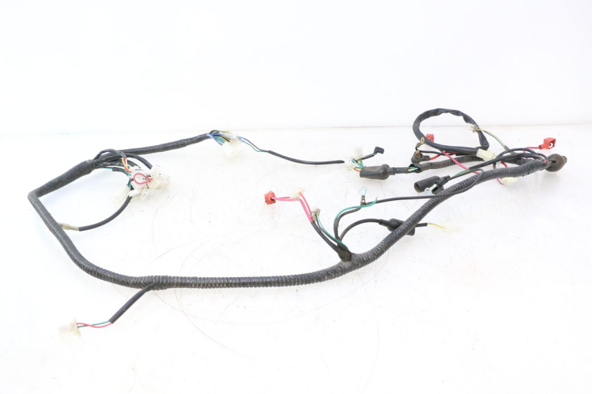 photo de CABLEADO ORCAL RAPTOR 50 (2015 - 2021) - Primer plano técnico