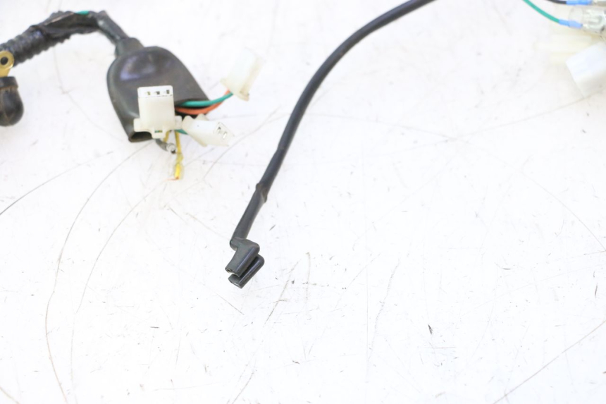 photo de CABLEADO ORCAL RAPTOR 50 (2015 - 2021) - Marcados y referencias originales