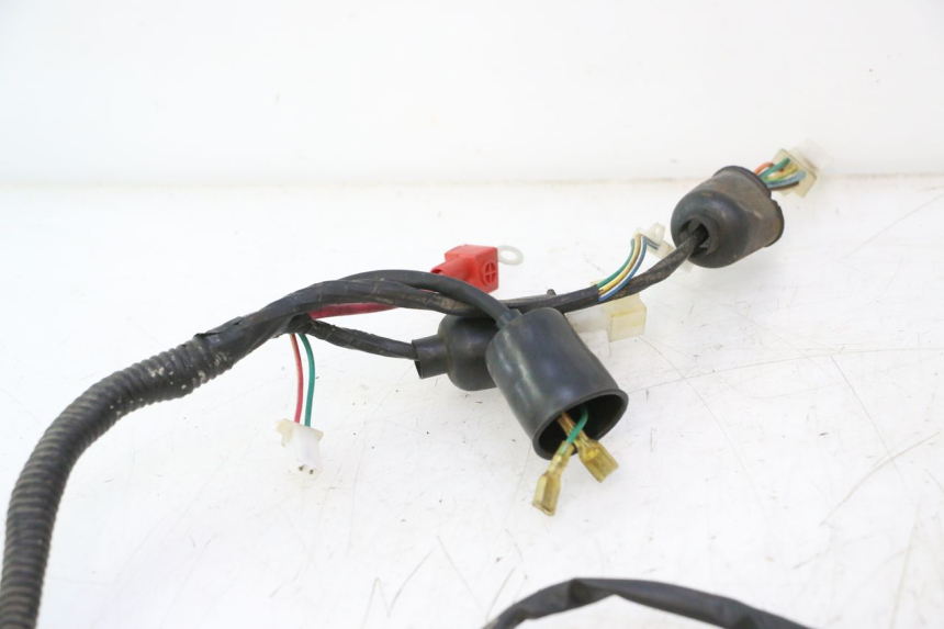 photo de CABLEADO LAZIO RENO 50 (2016 - 2021) - Detalle de la pieza