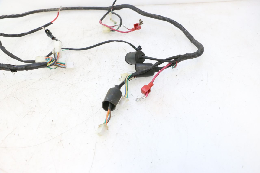 photo de CABLEADO LAZIO RENO 50 (2016 - 2021) - Características distintivas