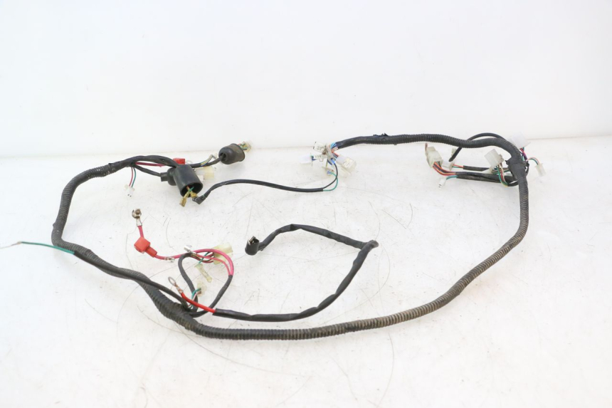 photo de CABLEADO LAZIO RENO 50 (2016 - 2021) - Primer plano técnico