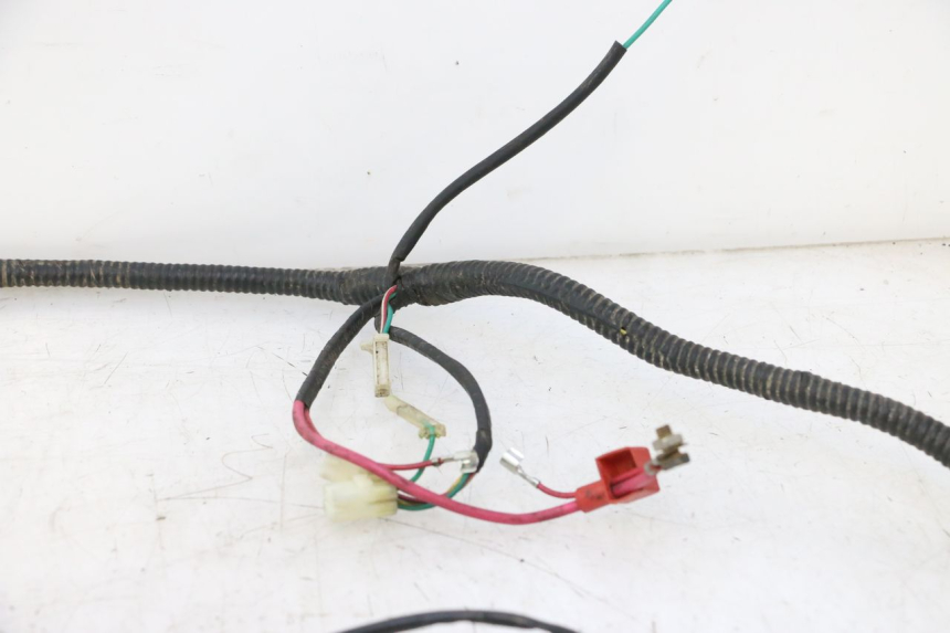 photo de CABLEADO LAZIO RENO 50 (2016 - 2021) - Marcados y referencias originales