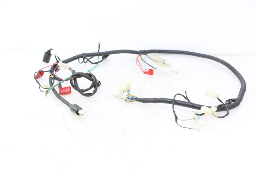 photo de CABLEADO LAZIO RENO 50 (2016 - 2021) - Vista principal