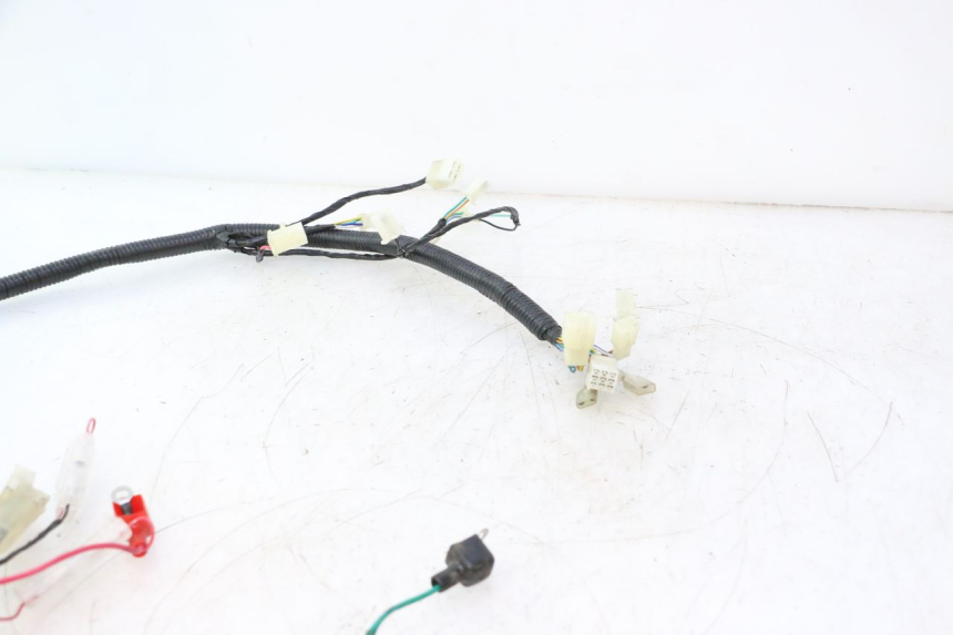 photo de CABLEADO LAZIO RENO 50 (2016 - 2021) - Detalle de la pieza