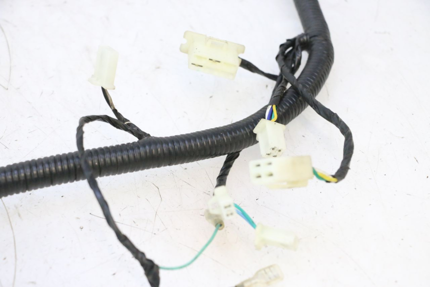photo de CABLEADO LAZIO RENO 50 (2016 - 2021) - Otra vista del artículo