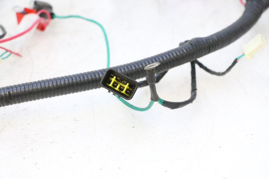 photo de CABLEADO LAZIO RENO 50 (2016 - 2021) - Vista general del producto