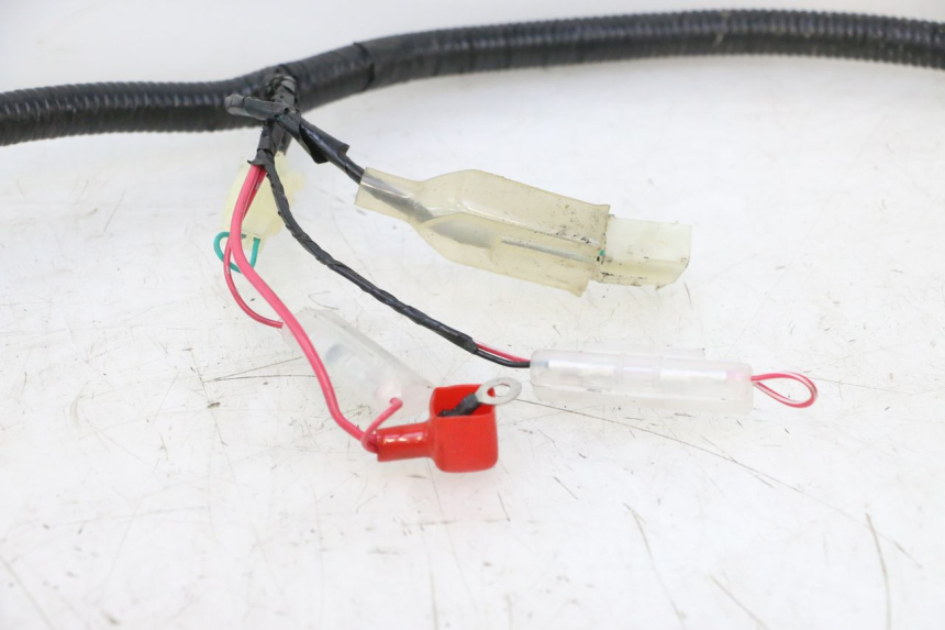 photo de CABLEADO LAZIO RENO 50 (2016 - 2021) - Recambio usado revisado