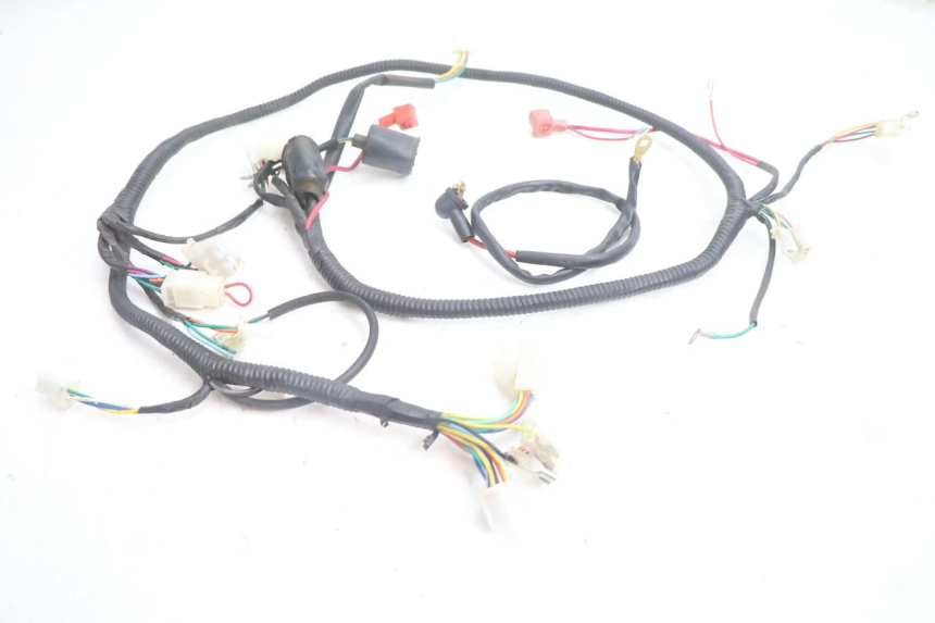 photo de CABLEADO LAZIO RENO 50 (2016 - 2021) - Vista principal