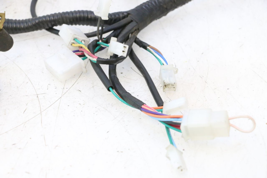 photo de CABLEADO LAZIO RENO 50 (2016 - 2021) - Otra vista del artículo