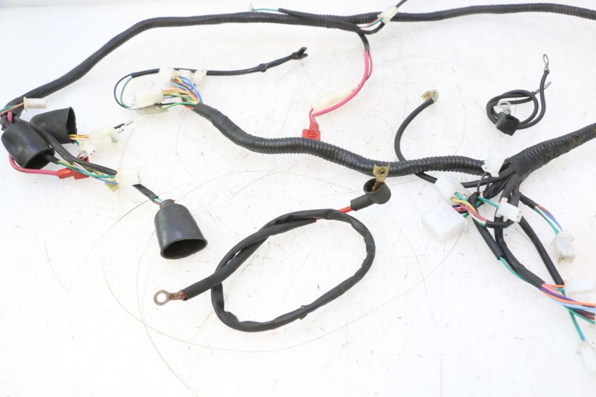 photo de CABLEADO LAZIO RENO 50 (2016 - 2021) - Detalles de los puntos de fijación