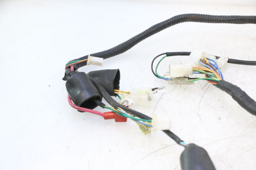 photo de CABLEADO LAZIO RENO 50 (2016 - 2021) - Marcados y referencias originales