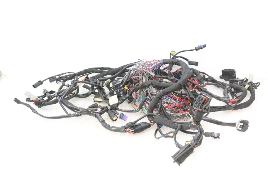 photo de CABLEADO HARLEY DAVIDSON ROAD GLIDE FLTRXSE 1920 (2018 - 2022) - Vista principal