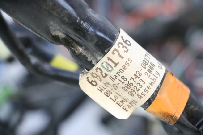 photo de CABLEADO HARLEY DAVIDSON ROAD GLIDE FLTRXSE 1920 (2018 - 2022) - Detalle de la pieza