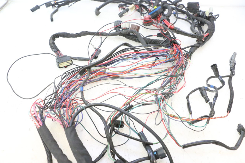 photo de CABLEADO HARLEY DAVIDSON ROAD GLIDE FLTRXSE 1920 (2018 - 2022) - Otra vista del artículo