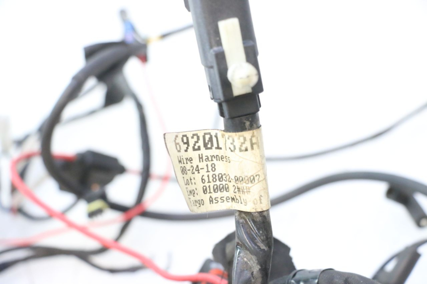 photo de CABLEADO HARLEY DAVIDSON ROAD GLIDE FLTRXSE 1920 (2018 - 2022) - Características distintivas