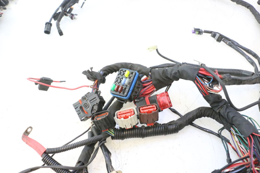 photo de CABLEADO HARLEY DAVIDSON ROAD GLIDE FLTRXSE 1920 (2018 - 2022) - Enfoque en la estructura