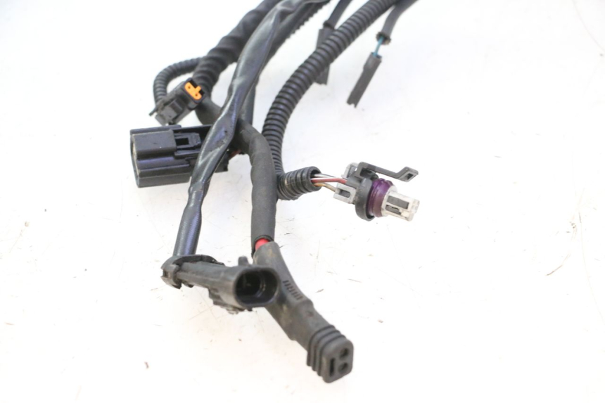 photo de CABLEADO HARLEY DAVIDSON ROAD GLIDE FLTRXSE 1920 (2018 - 2022) - Vista principal