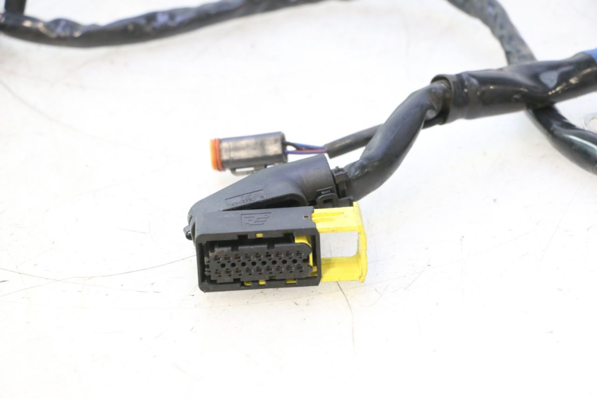photo de CABLEADO HARLEY DAVIDSON ROAD GLIDE FLTRXSE 1920 (2018 - 2022) - Detalle de la pieza