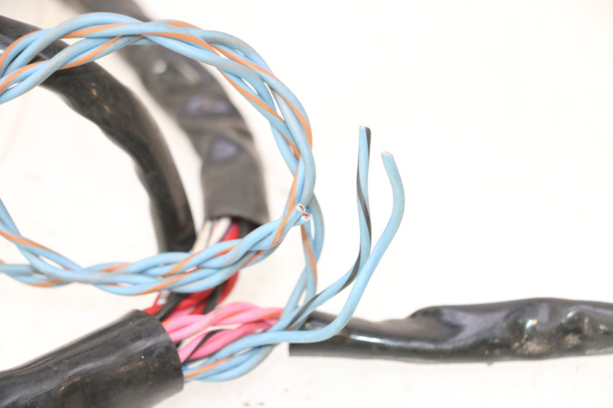 photo de CABLEADO HARLEY DAVIDSON ROAD GLIDE FLTRXSE 1920 (2018 - 2022) - Primer plano técnico