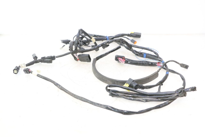 photo de CABLEADO HARLEY DAVIDSON ROAD GLIDE FLTRXSE 1920 (2018 - 2022) - Vista general del producto