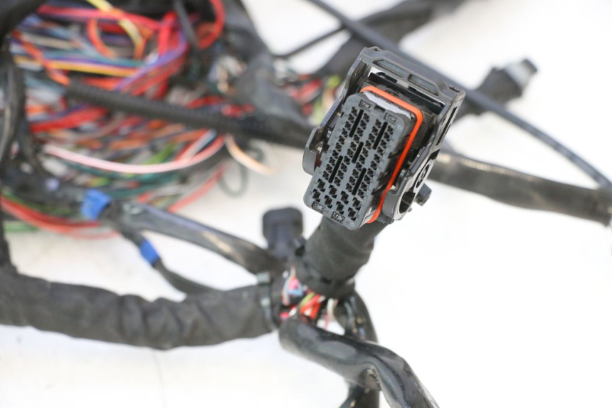 photo de CABLEADO HARLEY DAVIDSON ROAD GLIDE FLTRXSE 1920 (2018 - 2022) - Primer plano técnico