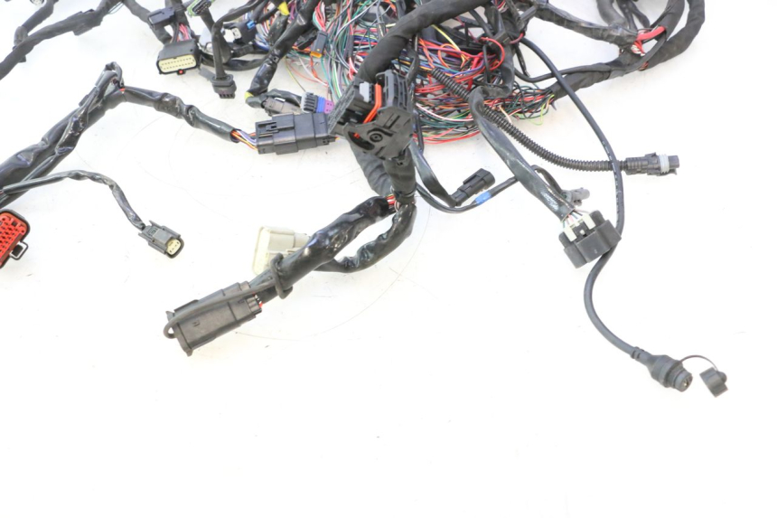 photo de CABLEADO HARLEY DAVIDSON ROAD GLIDE FLTRXSE 1920 (2018 - 2022) - Vista general del producto