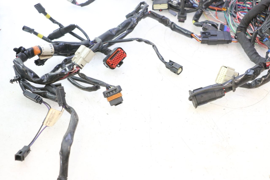 photo de CABLEADO HARLEY DAVIDSON ROAD GLIDE FLTRXSE 1920 (2018 - 2022) - Detalles de los puntos de fijación