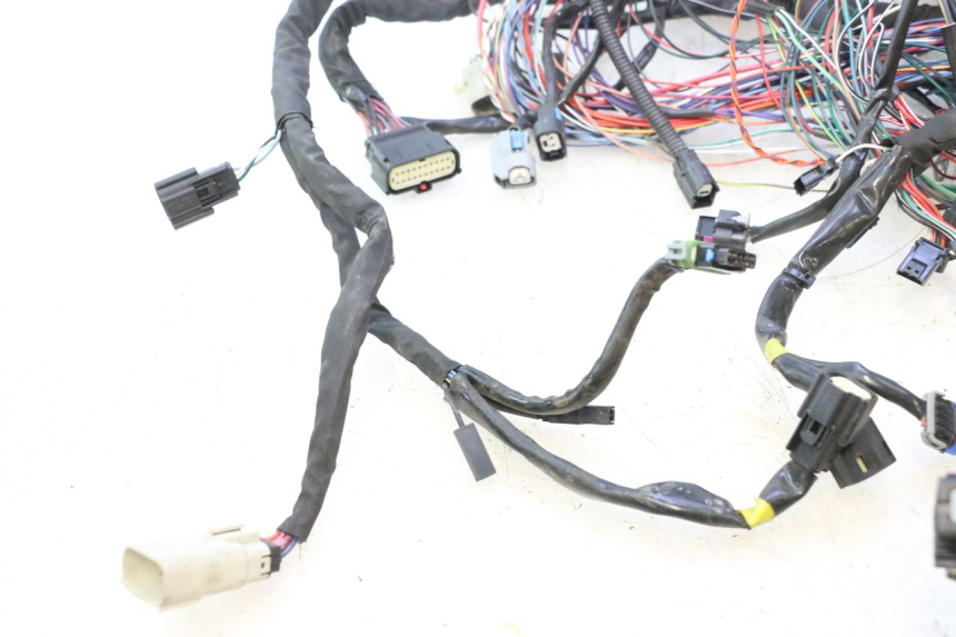 photo de CABLEADO HARLEY DAVIDSON ROAD GLIDE FLTRXSE 1920 (2018 - 2022) - Recambio usado revisado